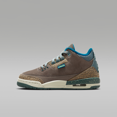 Air Jordan 3 GS “We Outside”